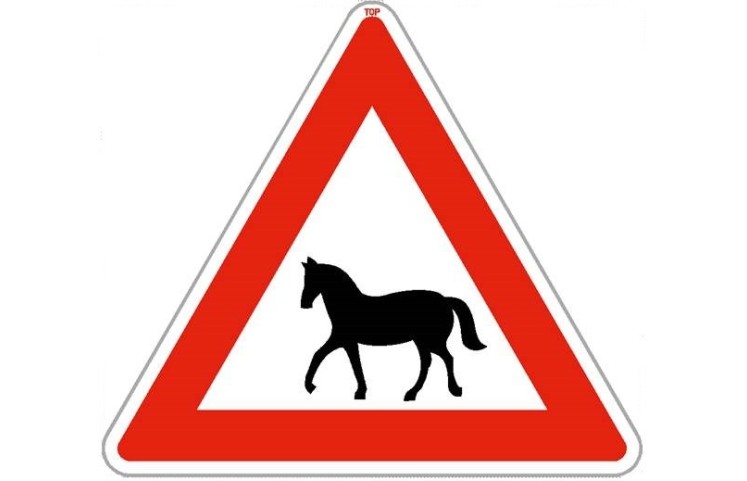 Dopravní značka A13 - Koně